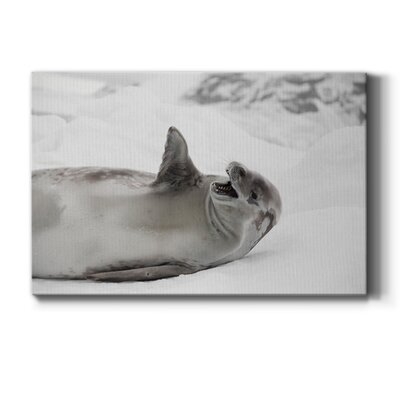 Laughing Seal Premium Gallery Wrapped Canvas - Ready To Hang - Image 0