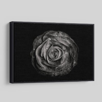 'Backyard Flowers In Black And White 72' - Photographic Print On Wrapped Canvas - Image 0
