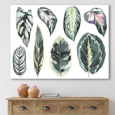 Tropical Calathea Leaves - Bohemian & Eclectic Canvas Wall Art Print - Image 0