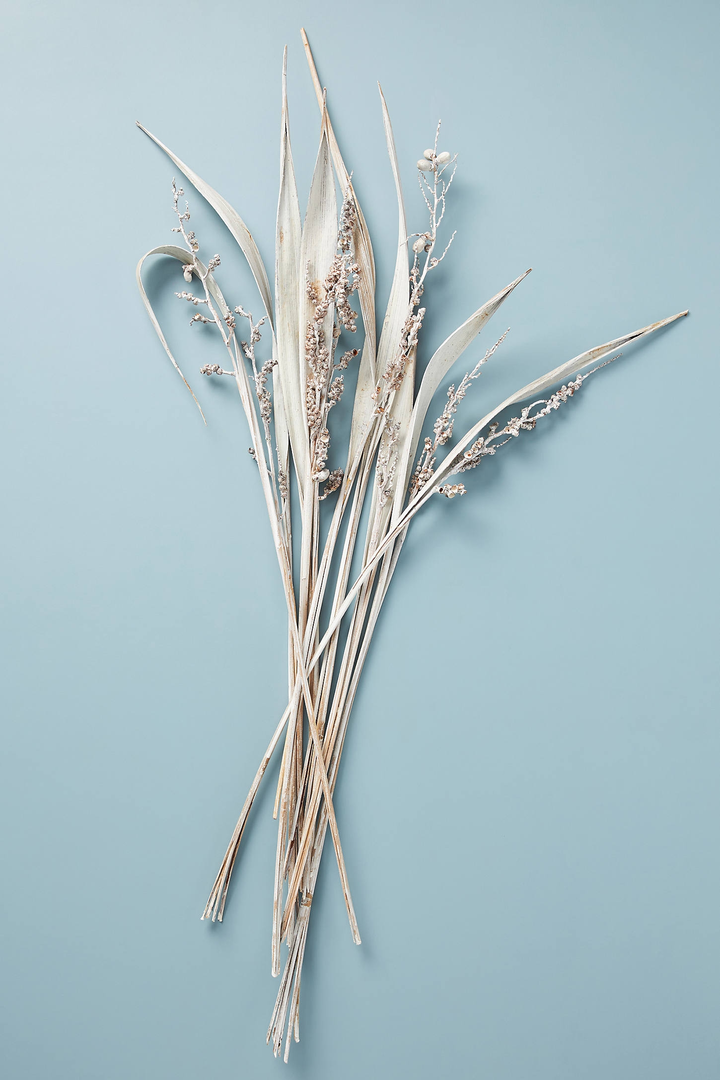 Dried Bahia Spear Bouquet - Image 0