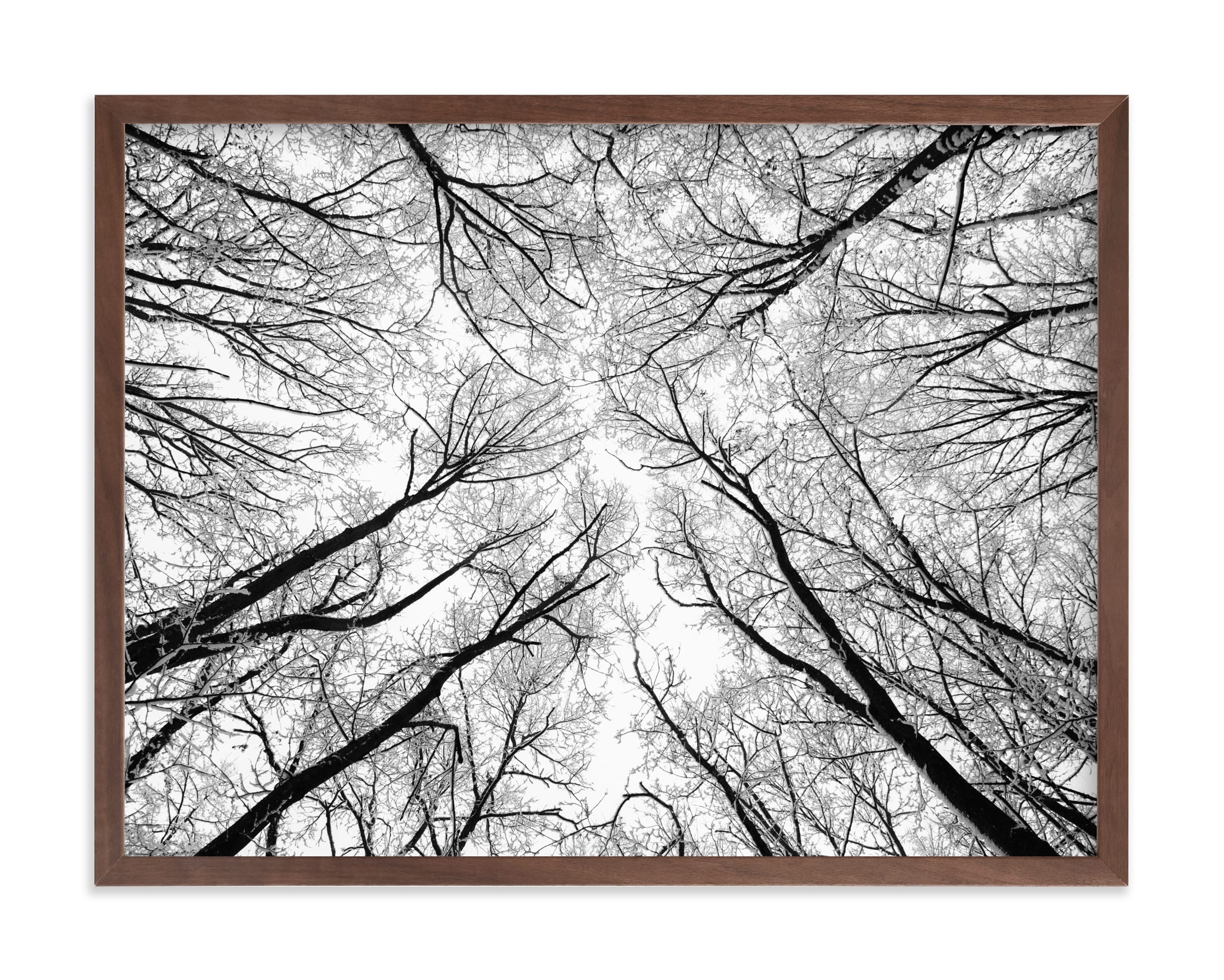 Lost In The Forest Limited Edition Fine Art Print 1 - Image 0