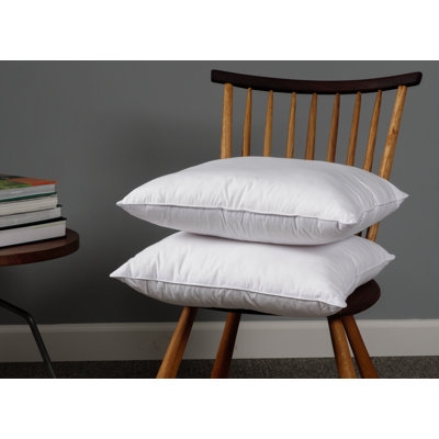 Wayfair Basics® Didomenico Pillow Insert (Set of 2) - Image 0