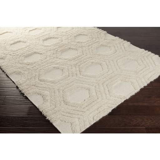 Kabru Beige Indoor 2' x 3' Handmade Rug - Image 1