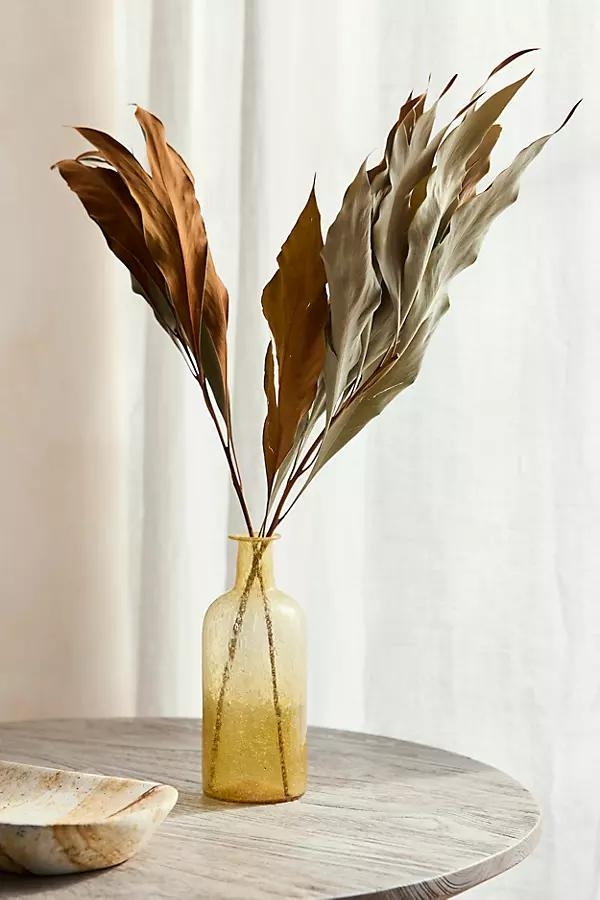 Preserved Grevillea Barklyana Bunch - Image 0