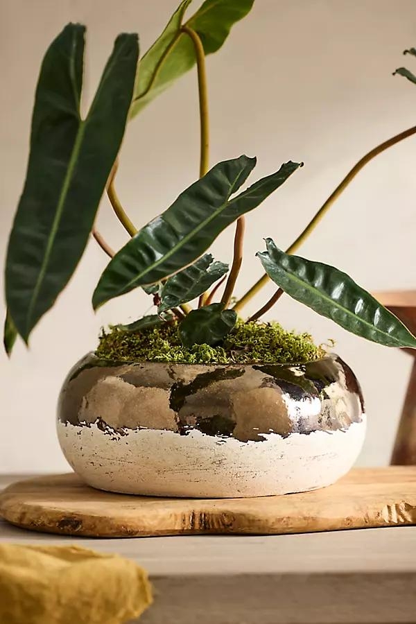 Metallic Colorblock Ceramic Bowl Planter - Image 0