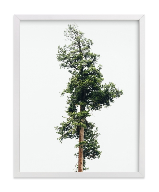 Solo Limited Edition Fine Art Print 1 - Image 0