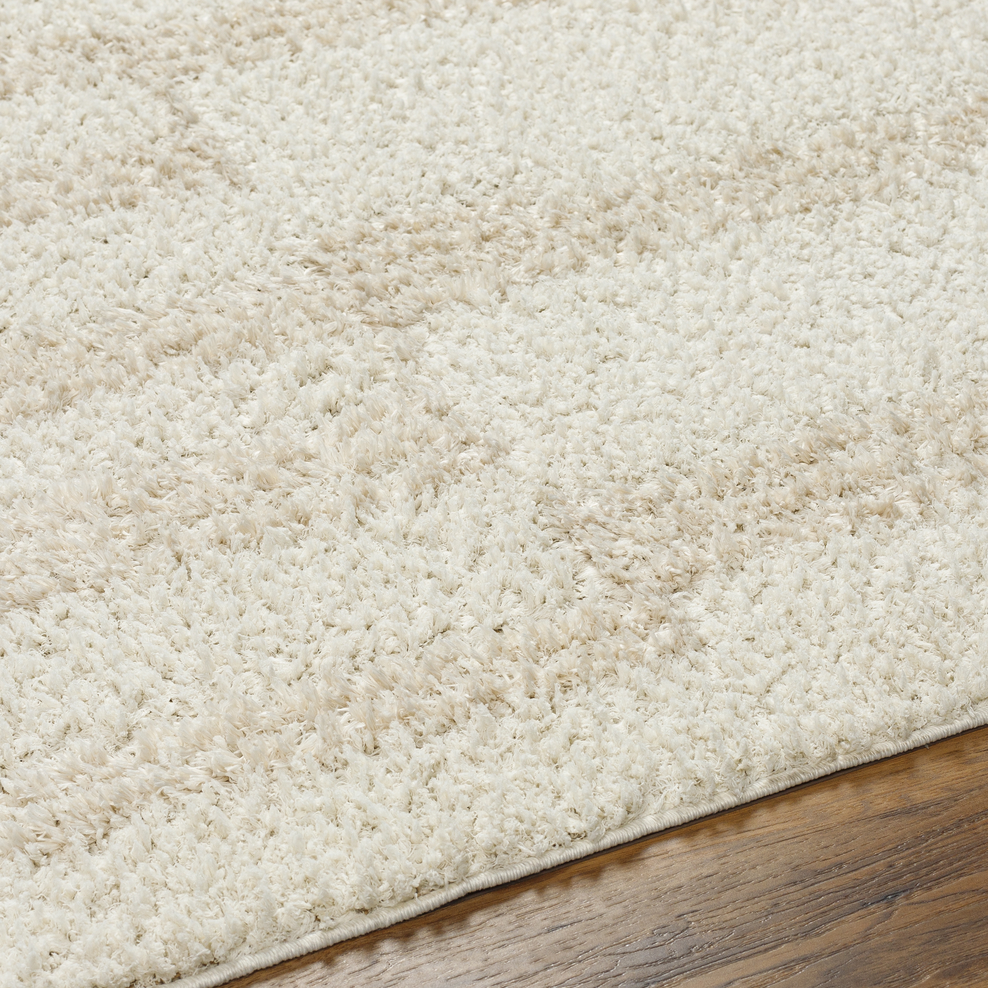 Livabliss Maryland Shag Beige Indoor 7'10" x 10' Machine Woven Rug - Image 3