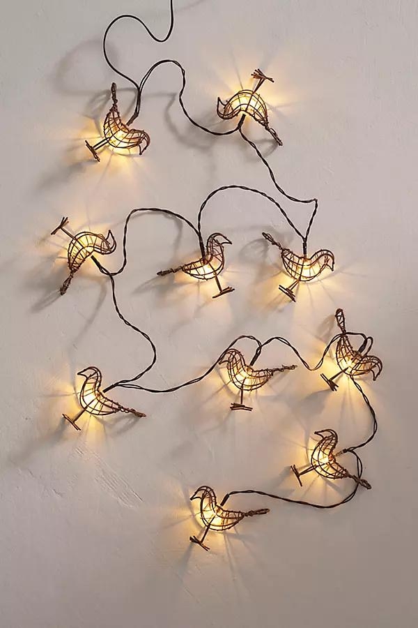 Solar Robin Lights - Image 0