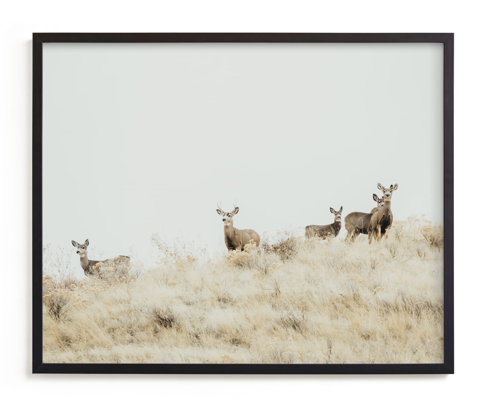 Watchful Limited Edition Fine Art Print 2 - Image 0