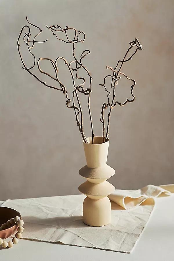 Dried Kiwi Vine Bunch - Image 0