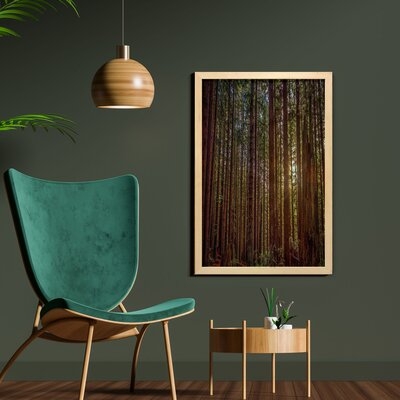 Ambesonne Forest Wall Art With Frame, Redwood Forest In California USA Nature Outdoors Landscape Woods Park, Printed Fabric Poster For Bathroom Living Room Dorms, 23" X 35", Redwood Yellow Green - Image 0
