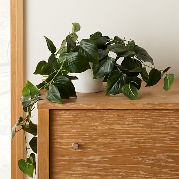 Faux Potted Green Philodendron, Medium - Image 2