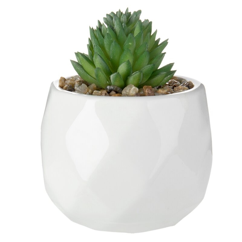4-Piece Artificial Succulent Plant in Pot - Image 2