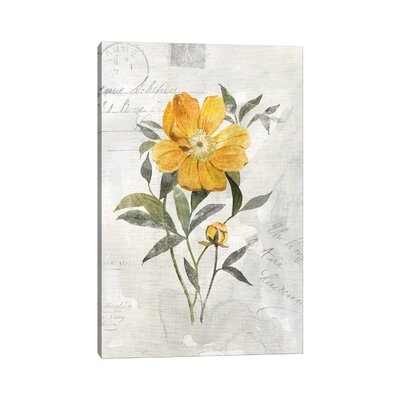 Canary Linen Peony by Carol Robinson - Wrapped Canvas Painting Print - Image 0