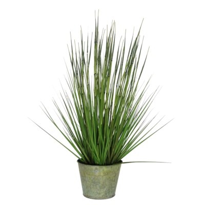Faux Onion Grass in Pot - Image 0