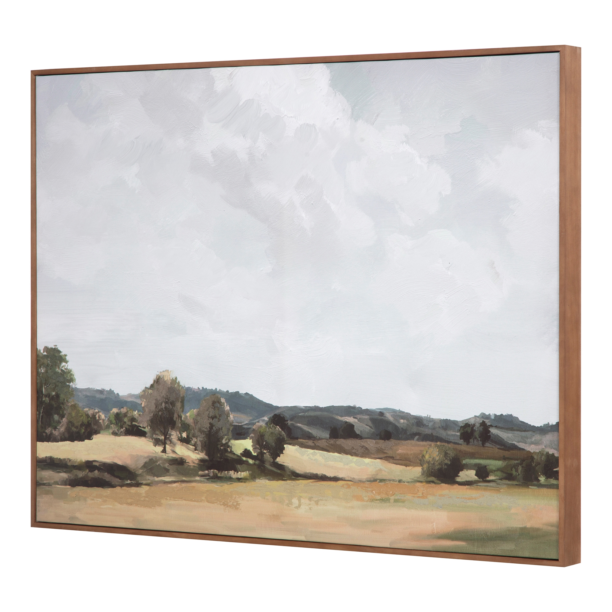 Vast Country Framed Painting - Image 1
