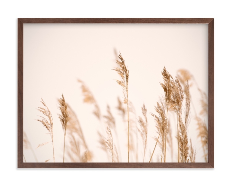Summer Weeds Open Edition Fine Art Print - Image 0