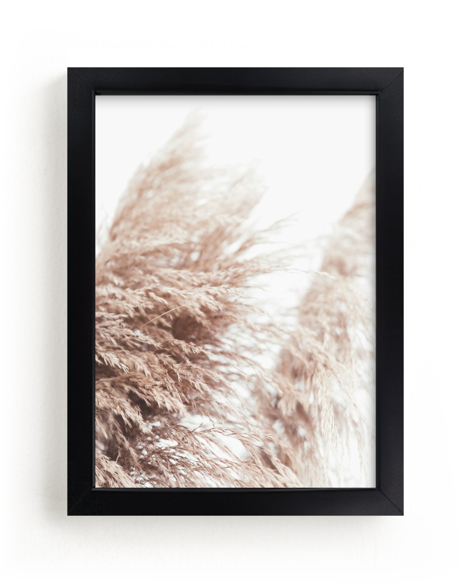 Samoa Field 1 Limited Edition Fine Art Print 2 - Image 0