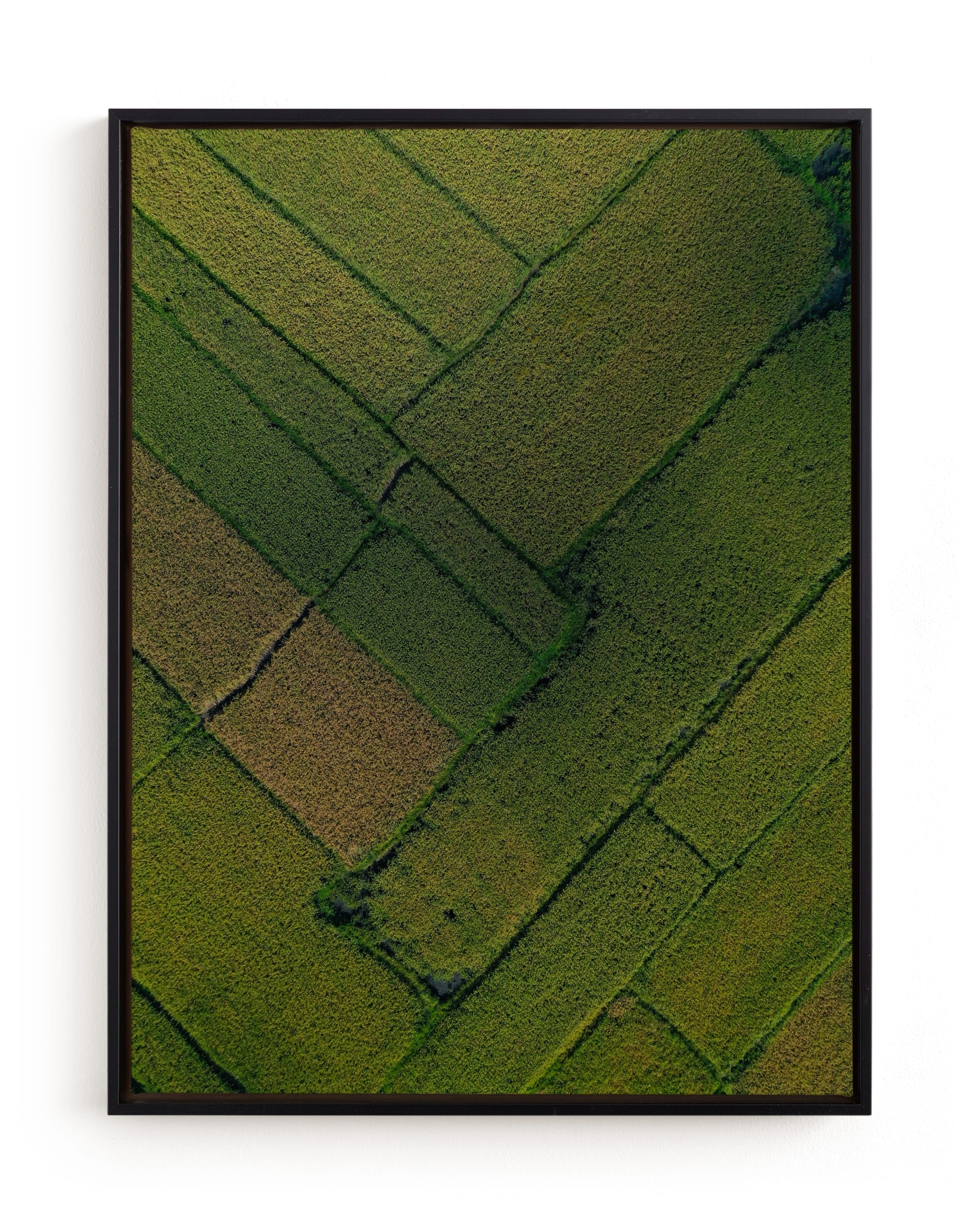 Above The Paddy Limited Edition Fine Art Print 2 - Image 0