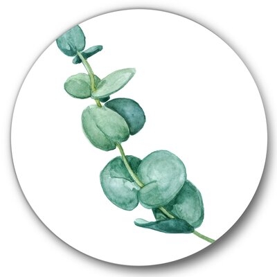 Young Eucalyptus Leaves And Branches II - Traditional Metal Circle Wall Art - Image 0