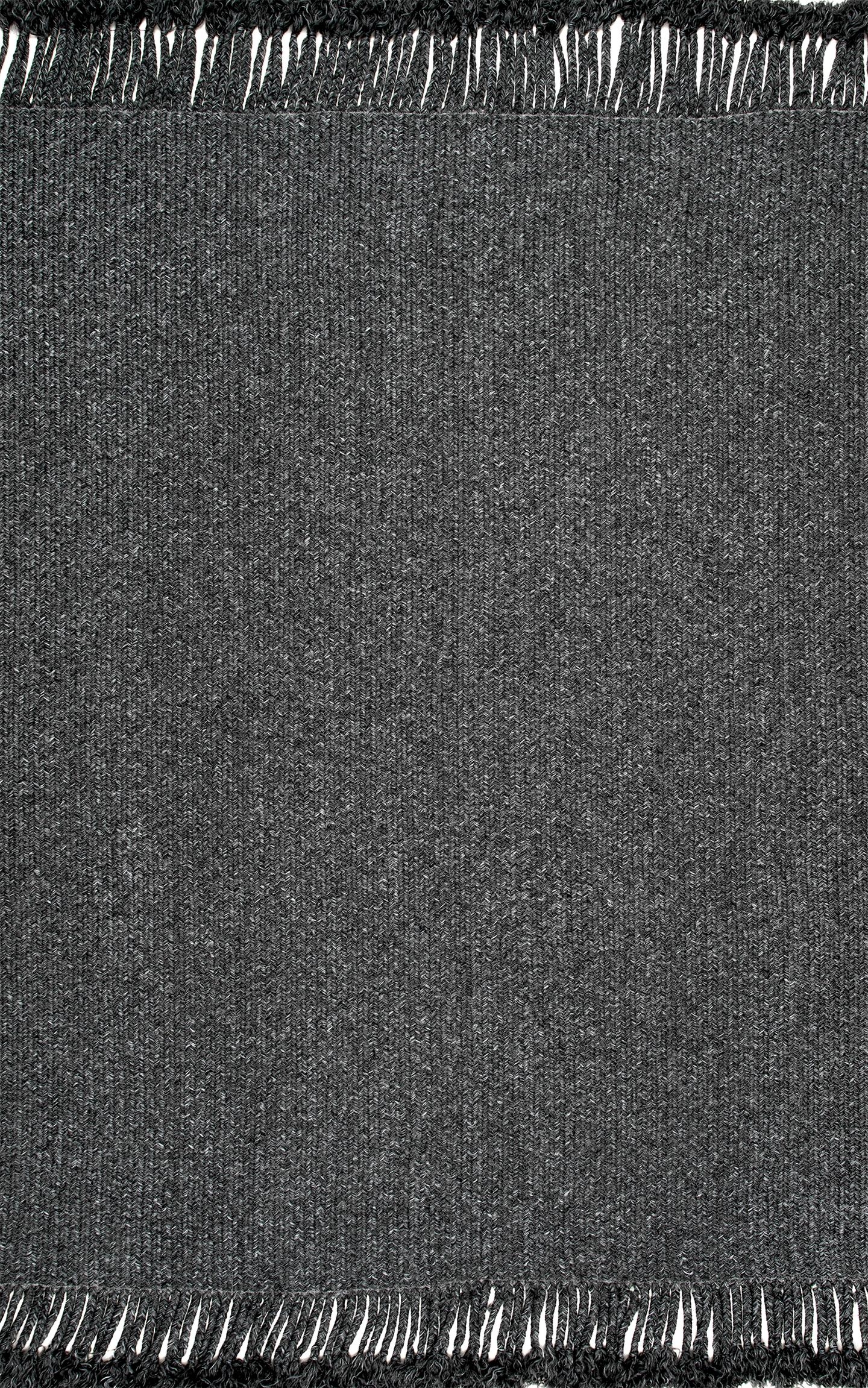 Braided Courtney Tassel Indoor/Outdoor Rug Area Rug - Image 1