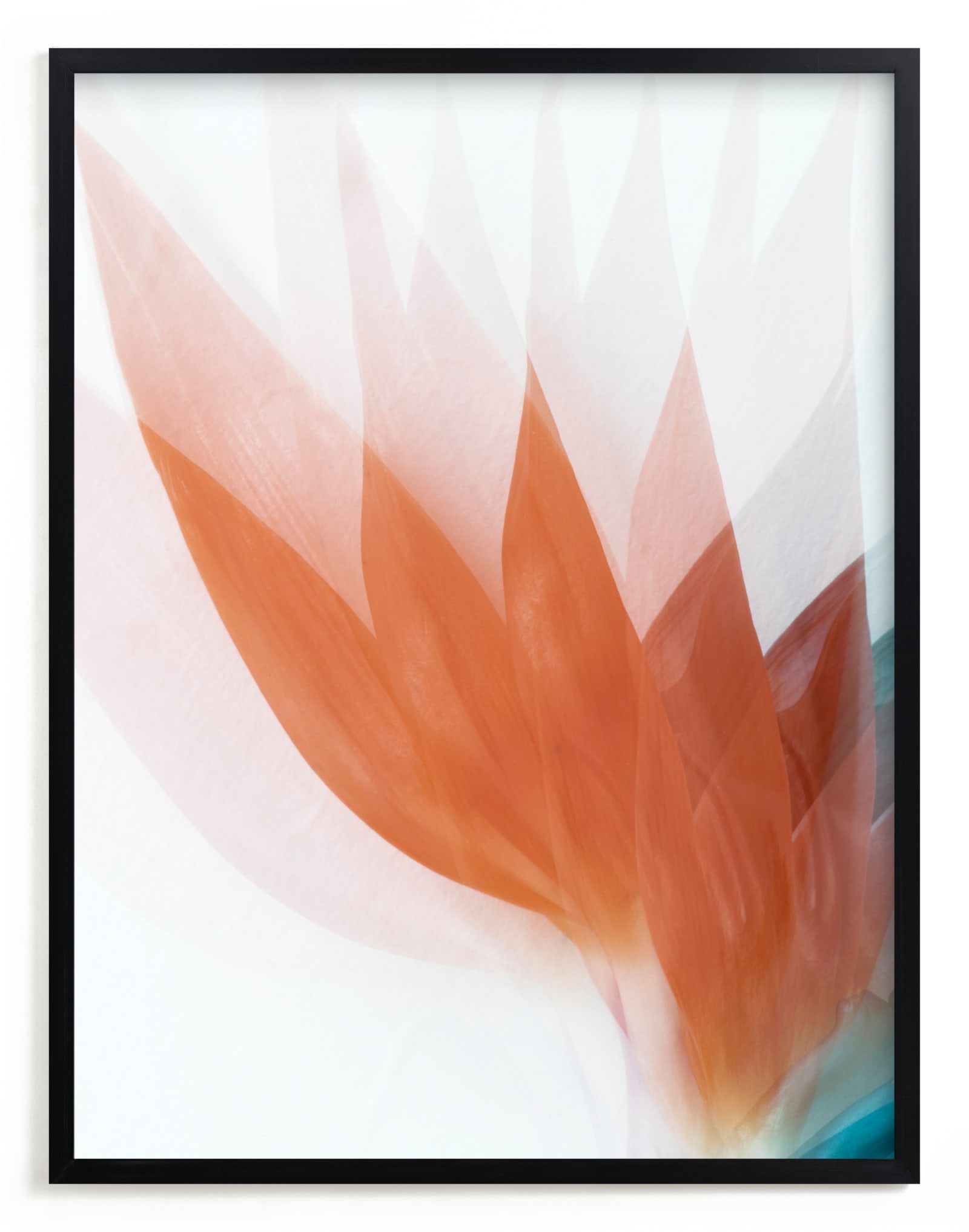 California Darling Limited Edition Fine Art Print 2 - Image 0