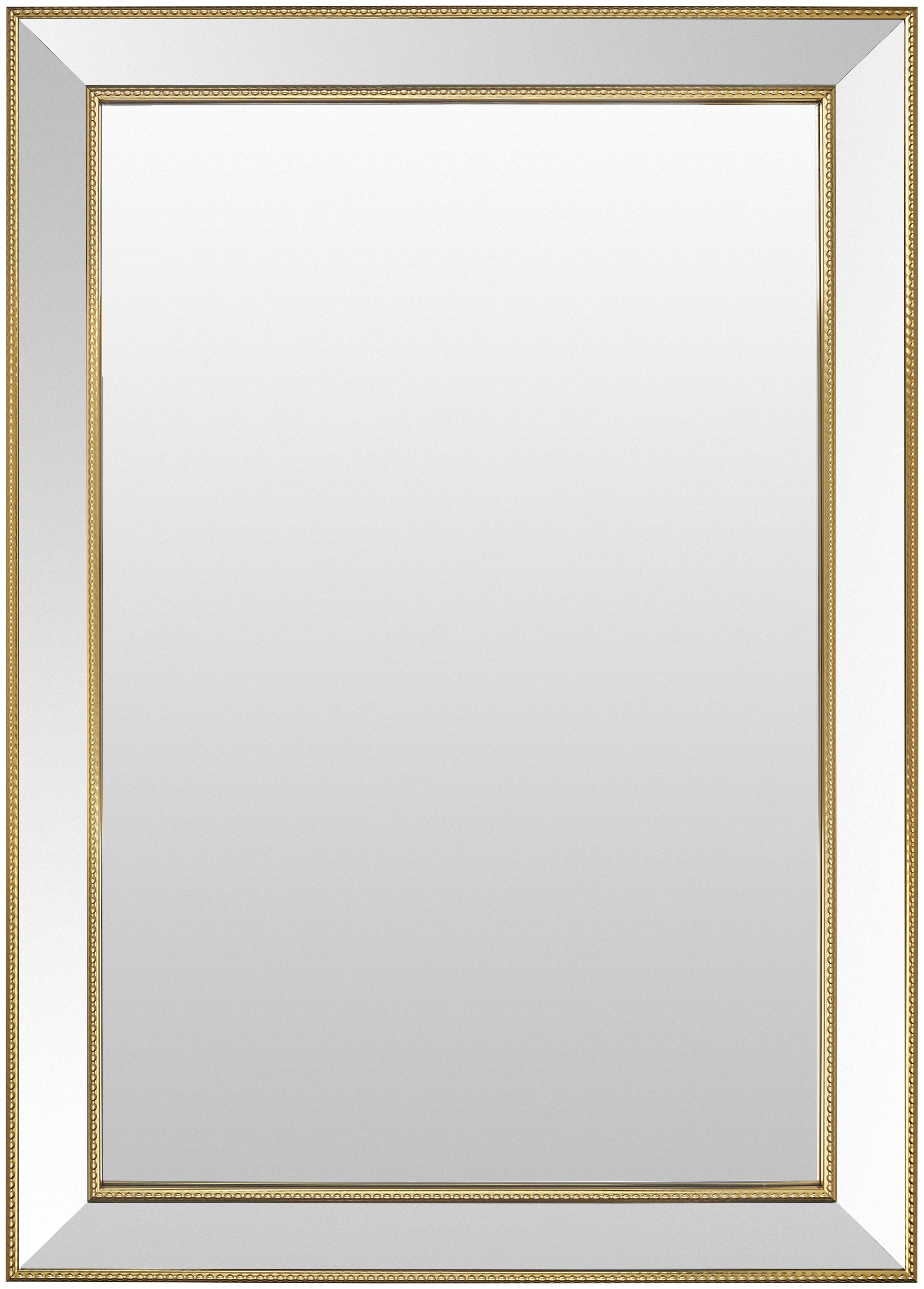 Constantine Gold 43"H x 31"W x 1"D Accent Mirror - Image 0