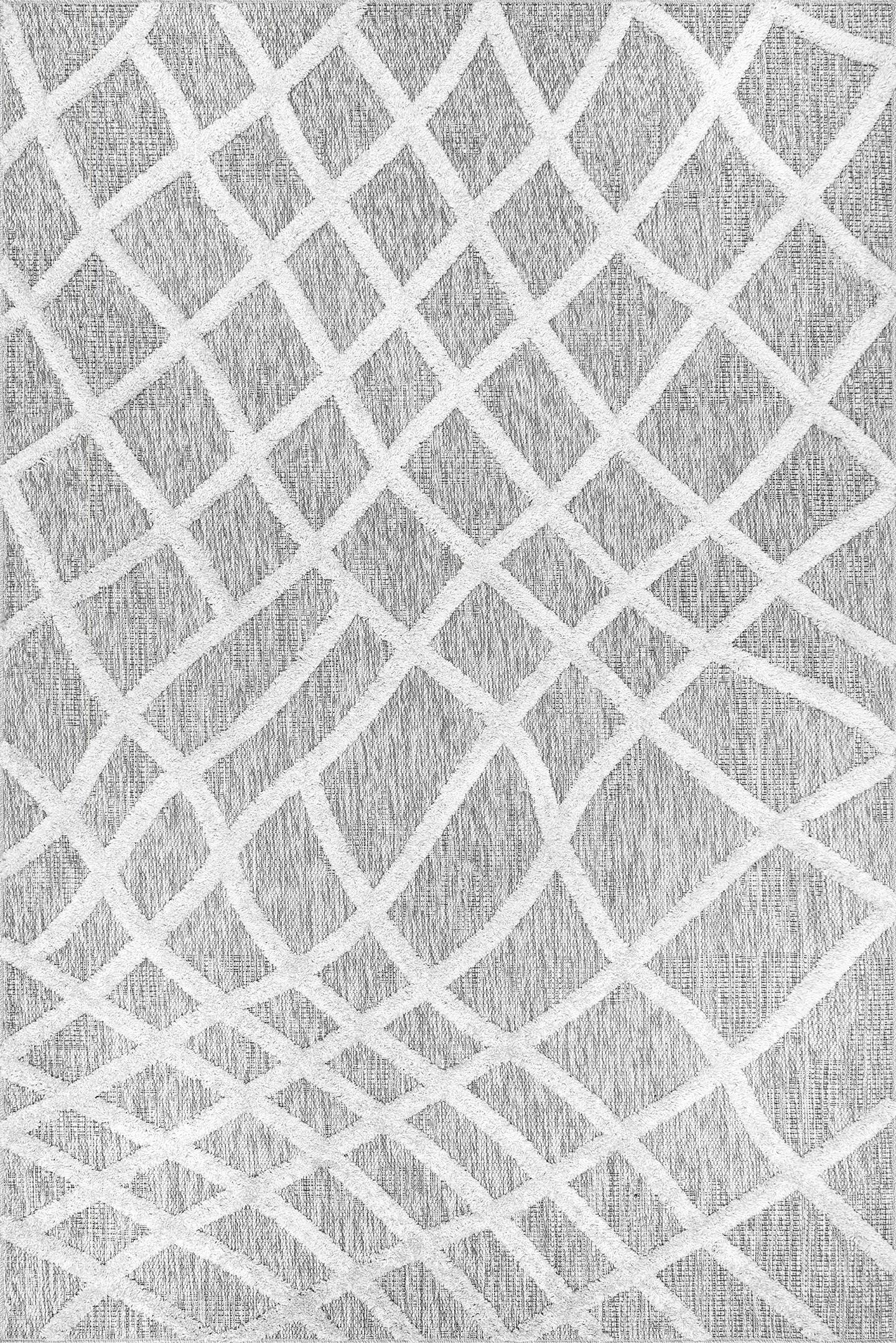Carly Raised Fishnet Trellis Area Rug - Image 1