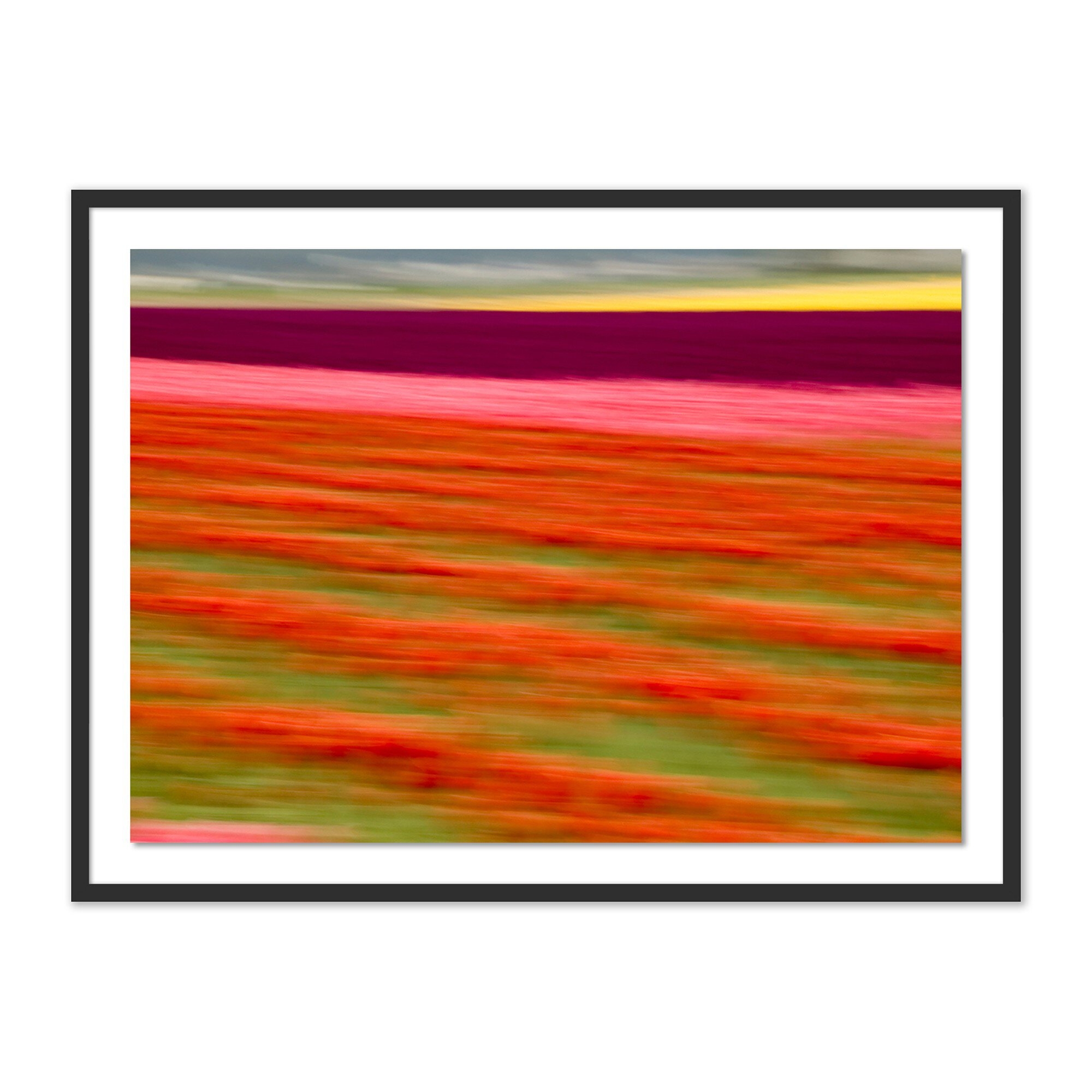 Blurred Flowers II by Geoffrey Baris - Black 1.5 Maple - Image 0