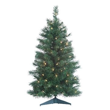 Colorado Spruce Tree With Clear Lights, Small - Image 0