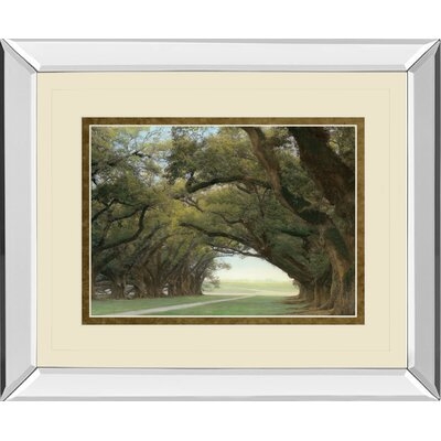 Alley of the Oaks by William Guion - Picture Frame Painting Print on Paper - Image 0