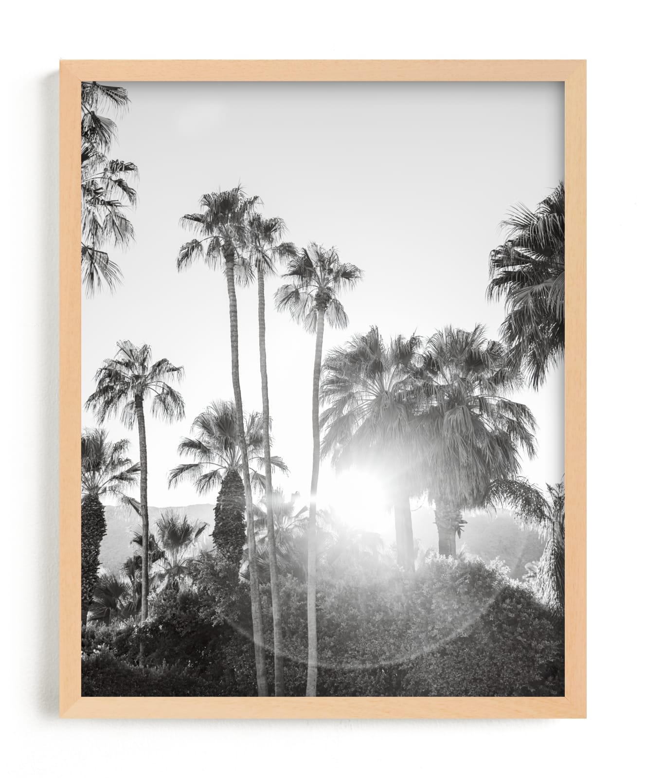 Sunflare Palms Limited Edition Fine Art Print 2 - Image 0