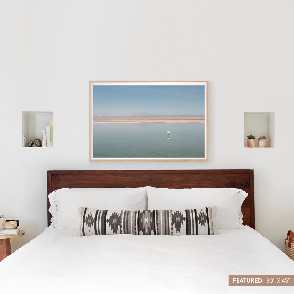 The Citizenry El Flamenco Wall Art Natural Frame | 30" x 45" - Image 0