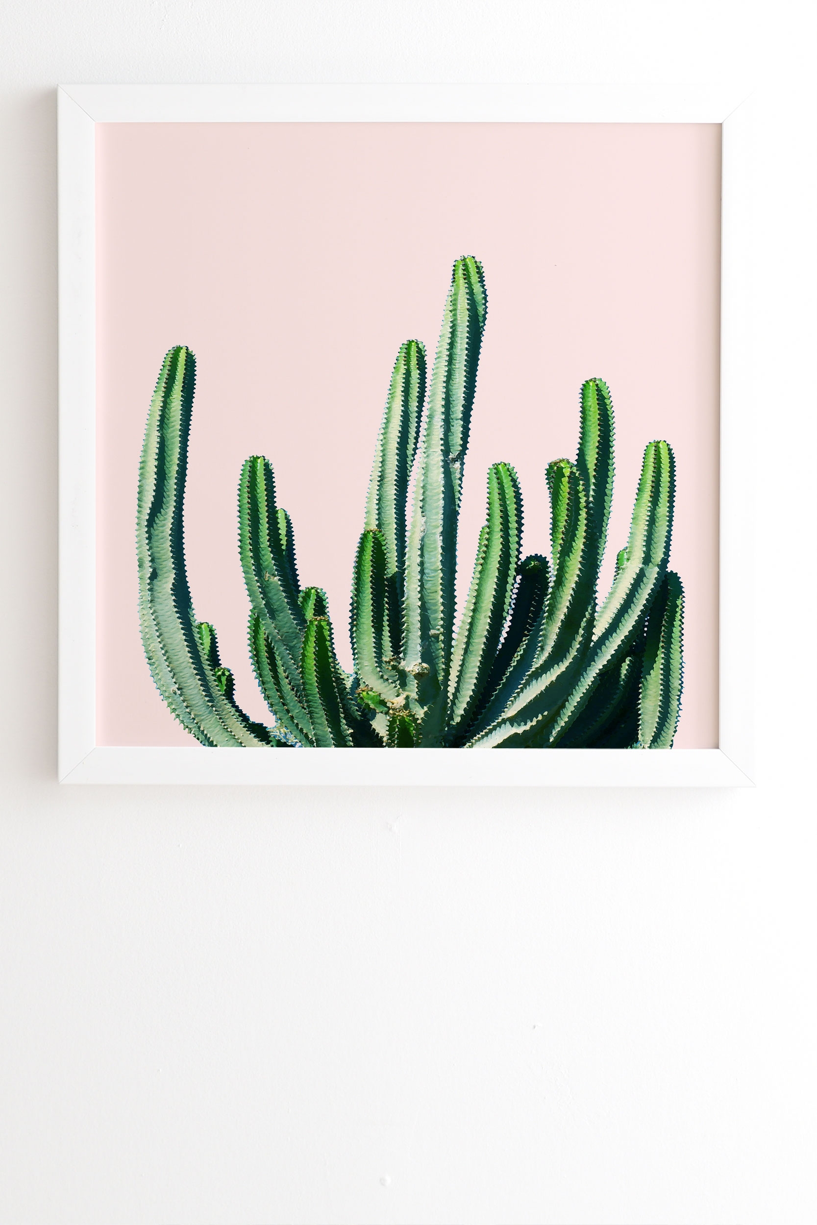 Cactus V6 by 83 Oranges - Framed Wall Art Basic White 11" x 13" - Image 1
