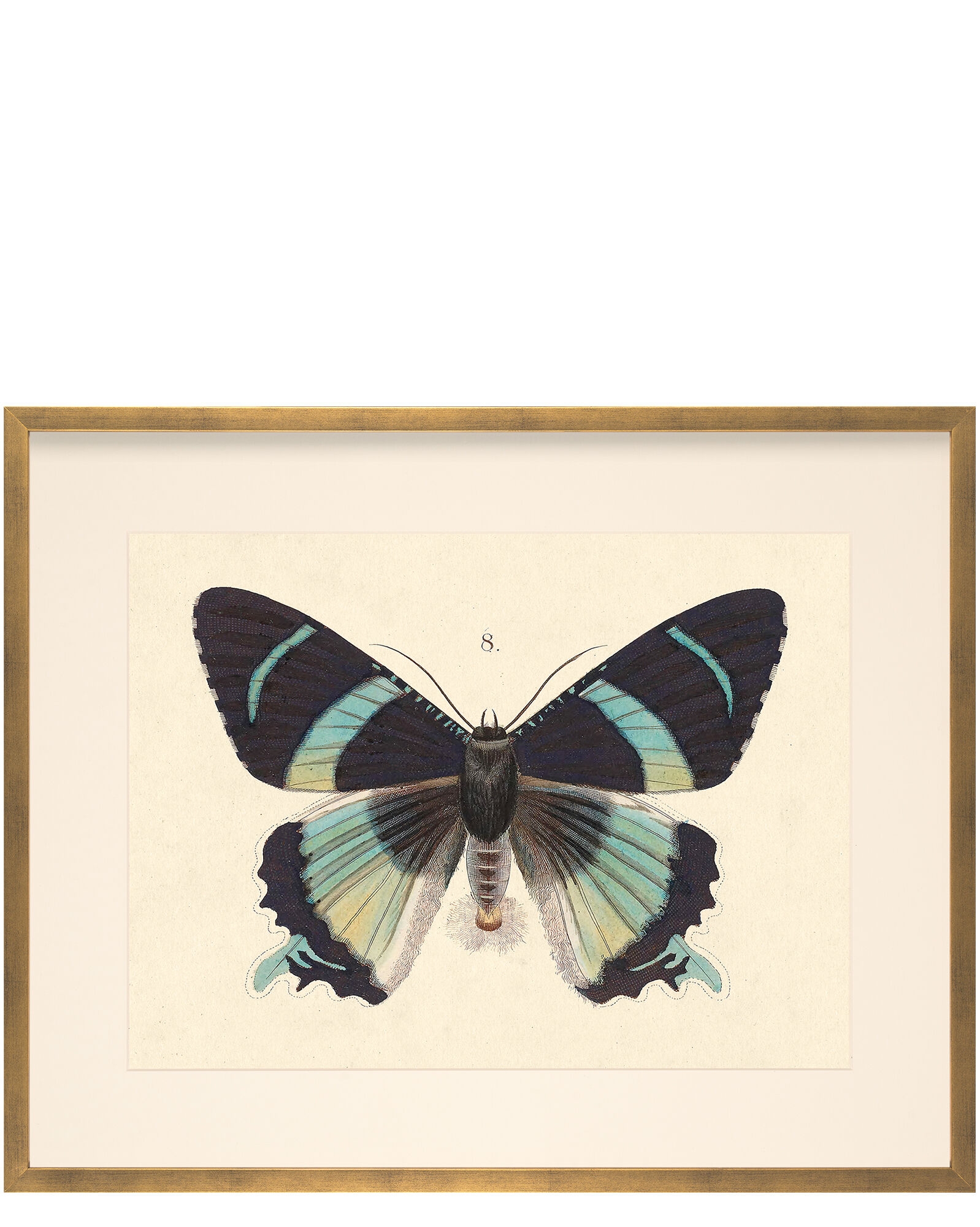 "Butterfly Series" by Whalebone Creek - Image 0