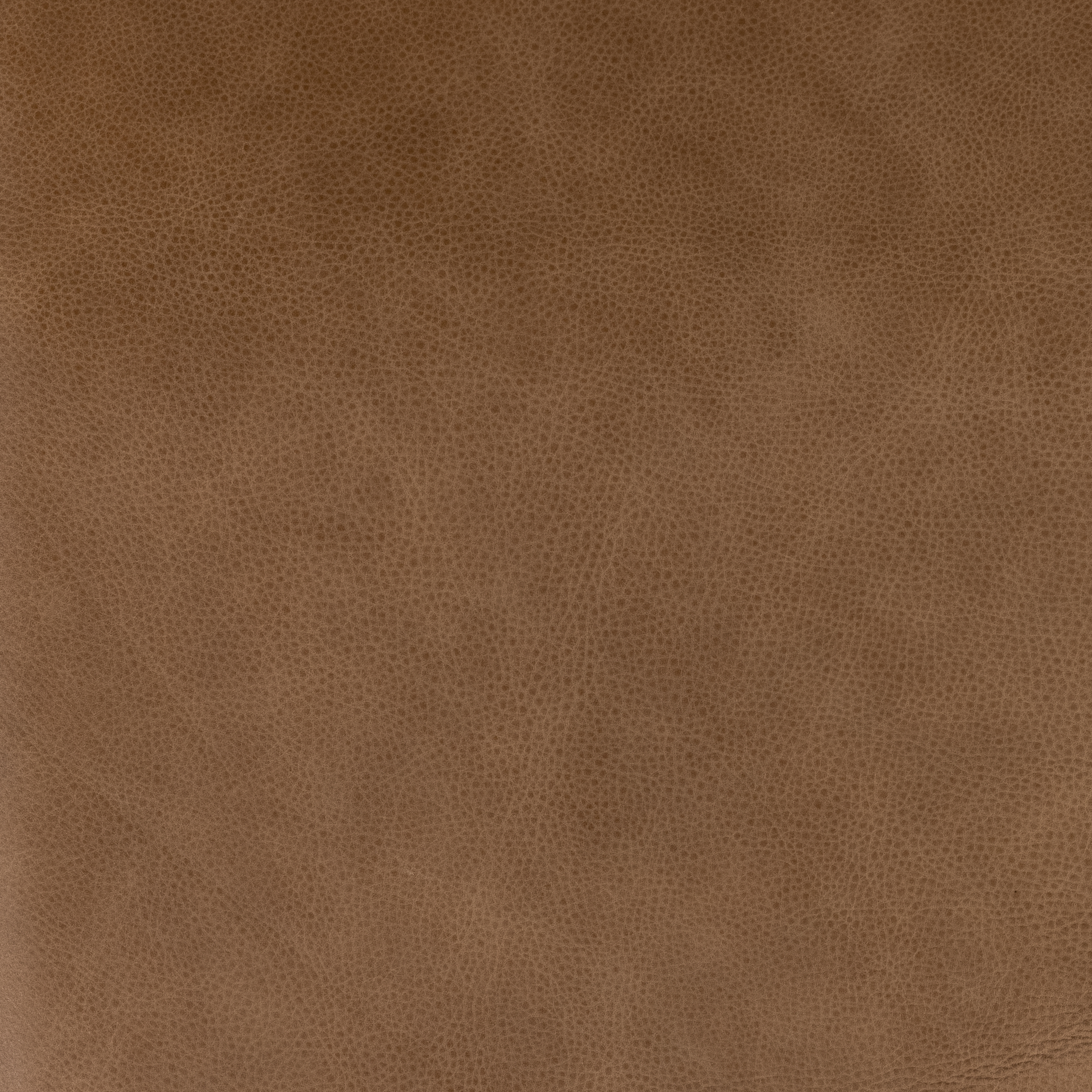 Taryn Chair - Palermo Drift - Image 7