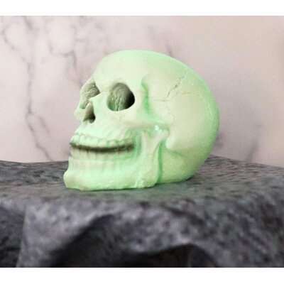Tomasz Human Skull Figurine - Image 0