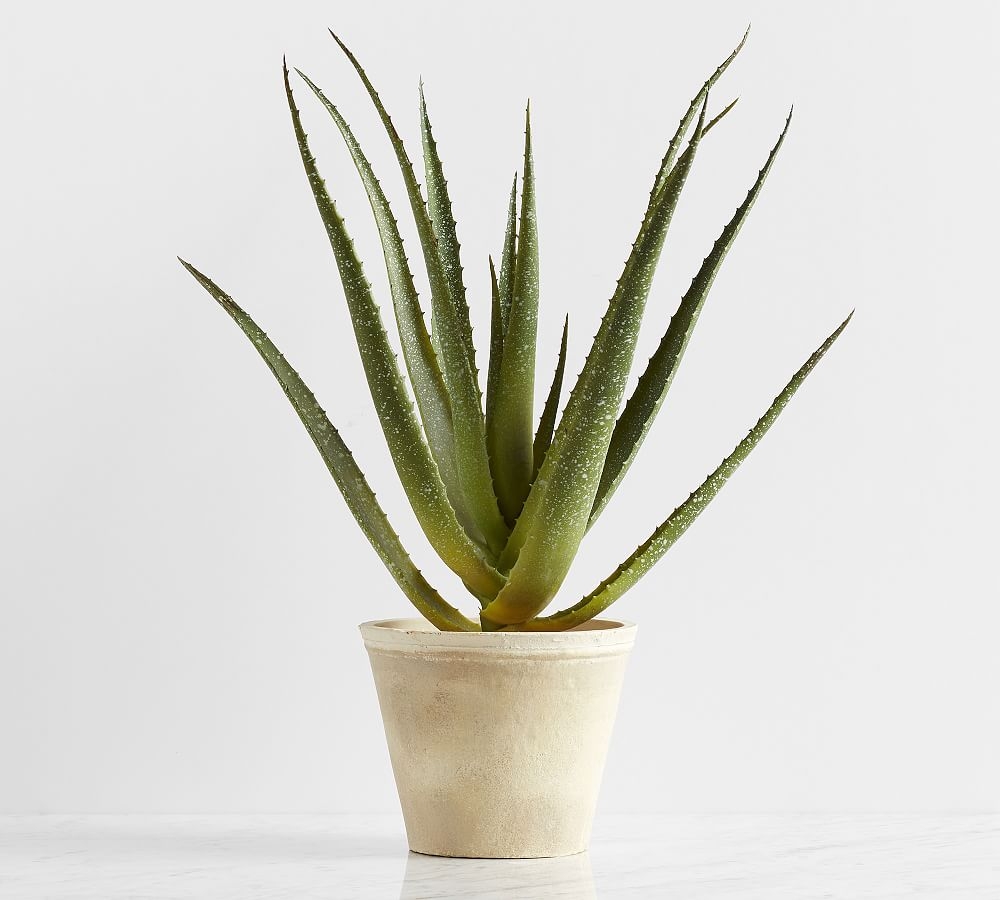 Faux Potted Speckled Aloe Vera Plant In Terra Cotta Pot, Large - Image 0