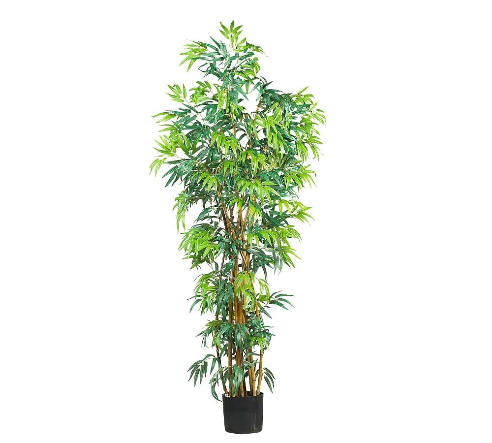 Faux Curved Bamboo Tree, 6' - Image 0