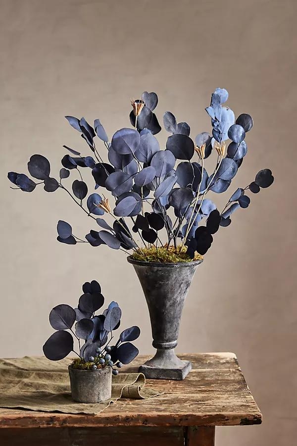 Preserved Eucalyptus Populus Bunch, Blue - Image 0
