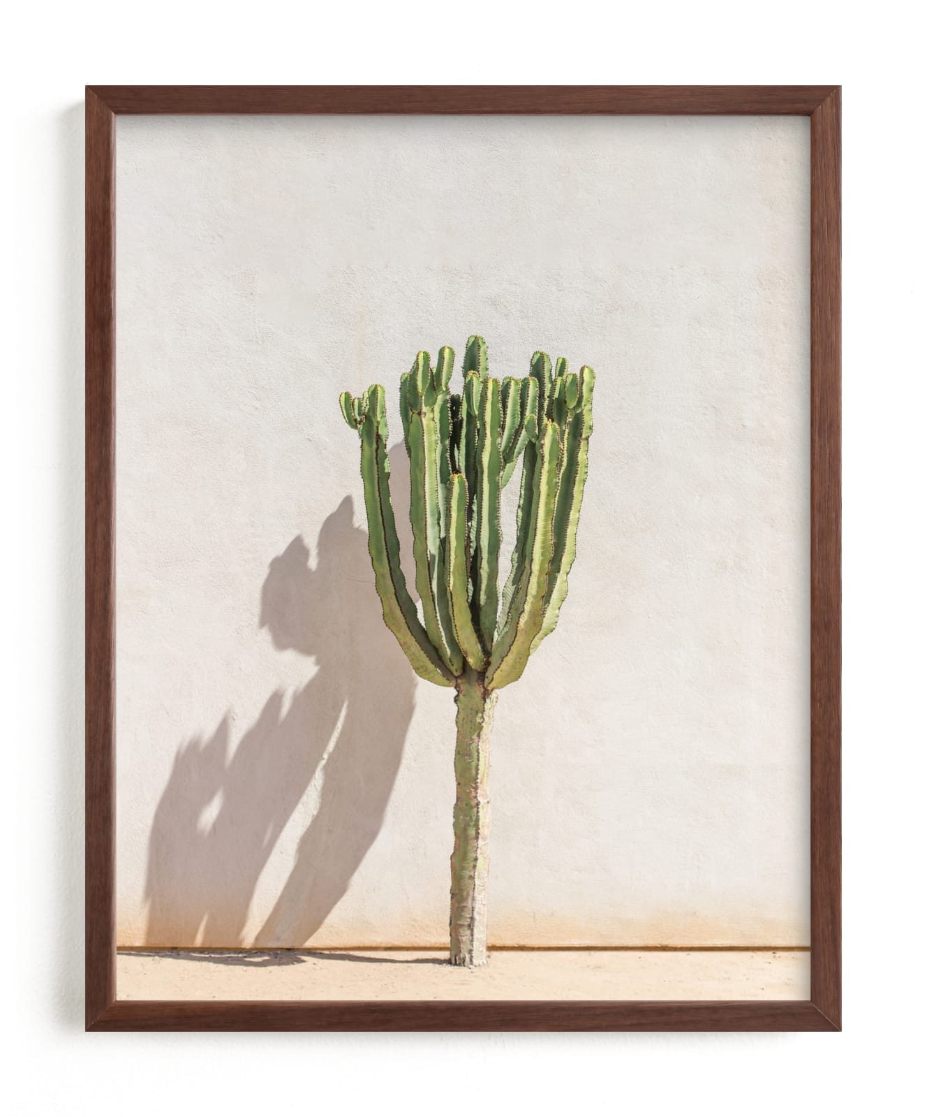 Lone Cactus Limited Edition Fine Art Print 2 - Image 0