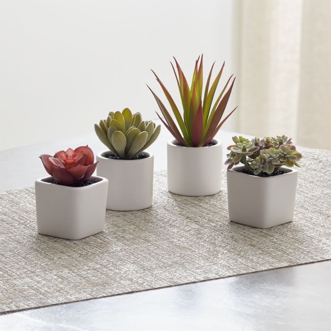 Faux Mini Potted Succulents, Set of 4 - Image 0