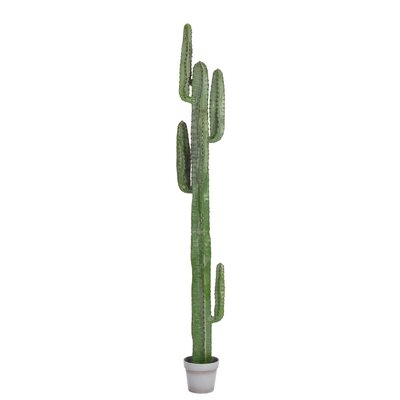 Artificial Cactus Plant in Pot Liner - Image 0