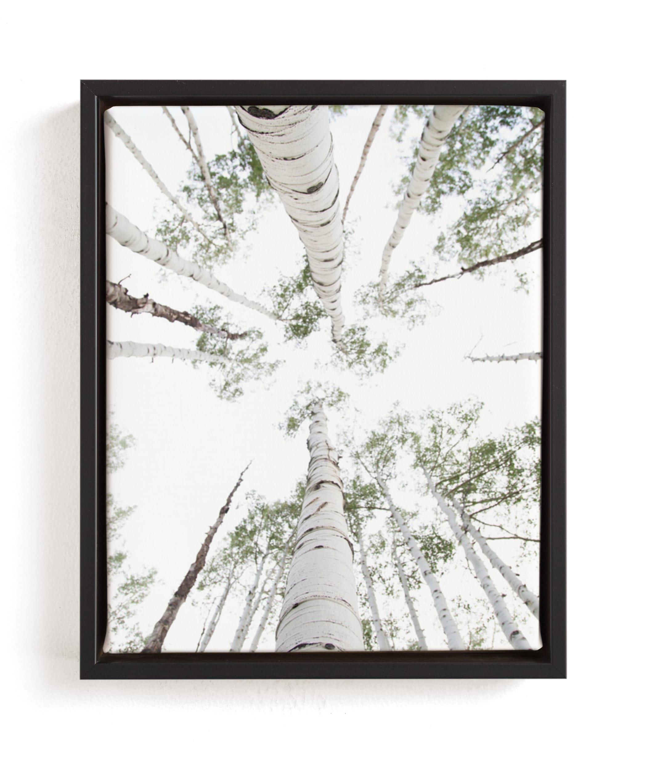 Aspens At Altitude Limited Edition Fine Art Print 2 - Image 0