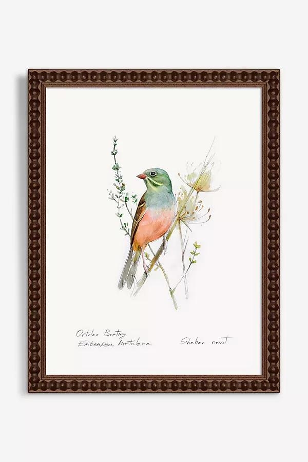 Blue Throat Bird Wall Art - Image 0