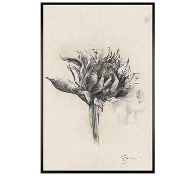 Charcoal Sunflower Sketch, Single Bloom, 28" x 42" Wood Gallery, Black, No Mat - Image 0