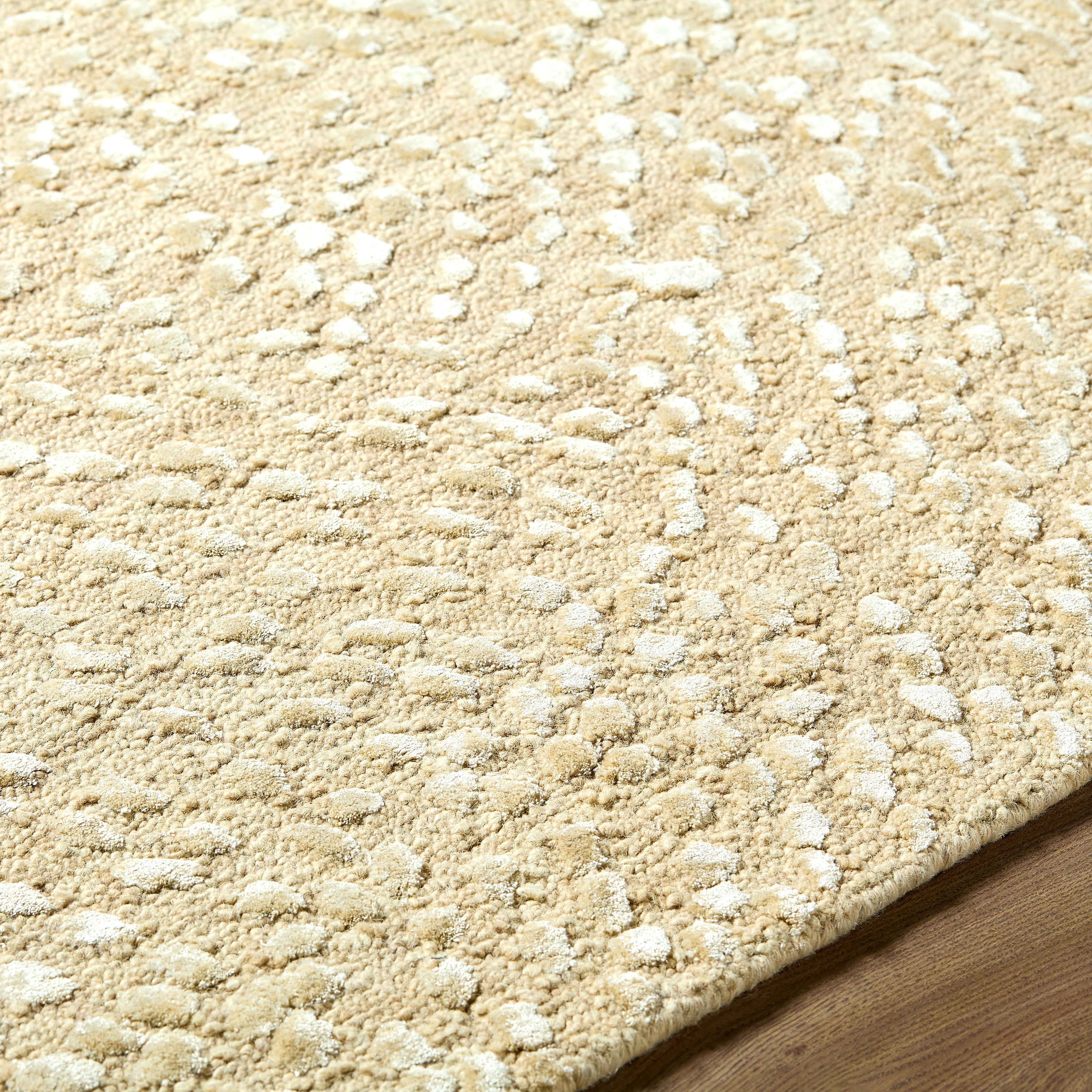 Alliance  Indoor 5' x 7'6" Handmade Rug - Image 2