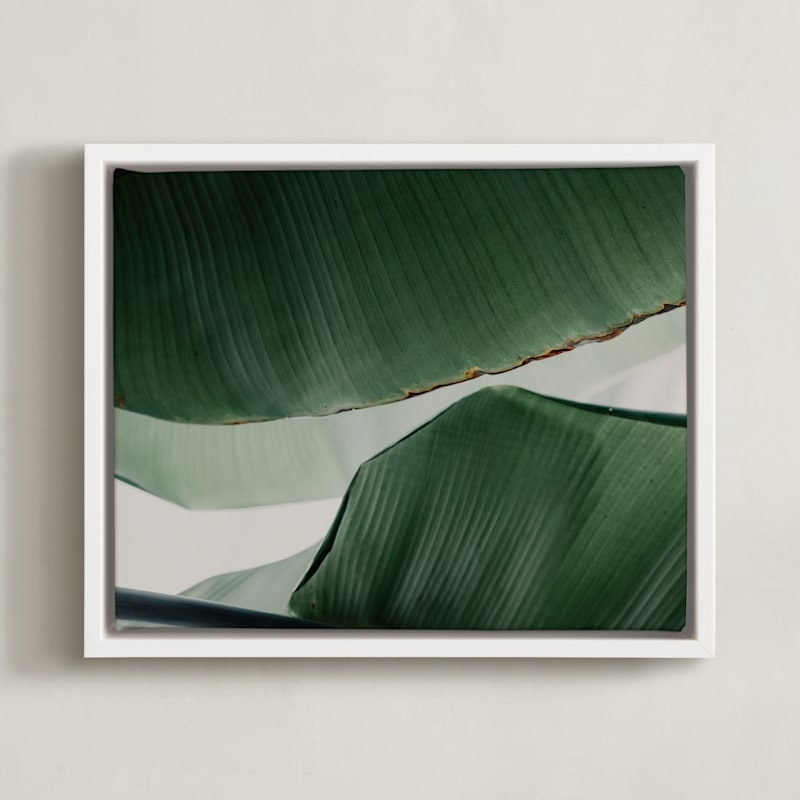 Leaf & Light 4 Open Edition Fine Art Print - Image 0