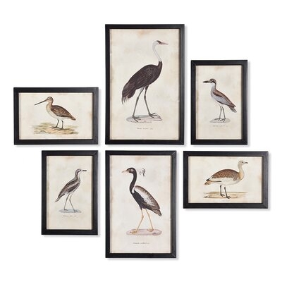 'Waterfowl Gallery' - 6 Piece Picture Frame Graphic Art Print Set on Paper - Image 0