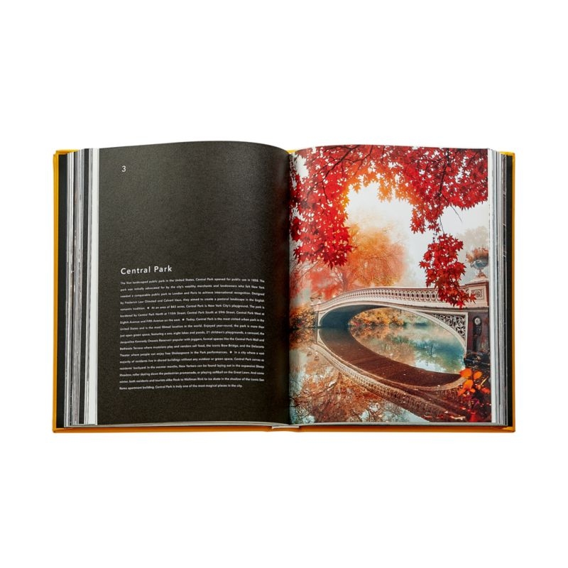 "Trope New York" Leather Home Decor Book - Image 5